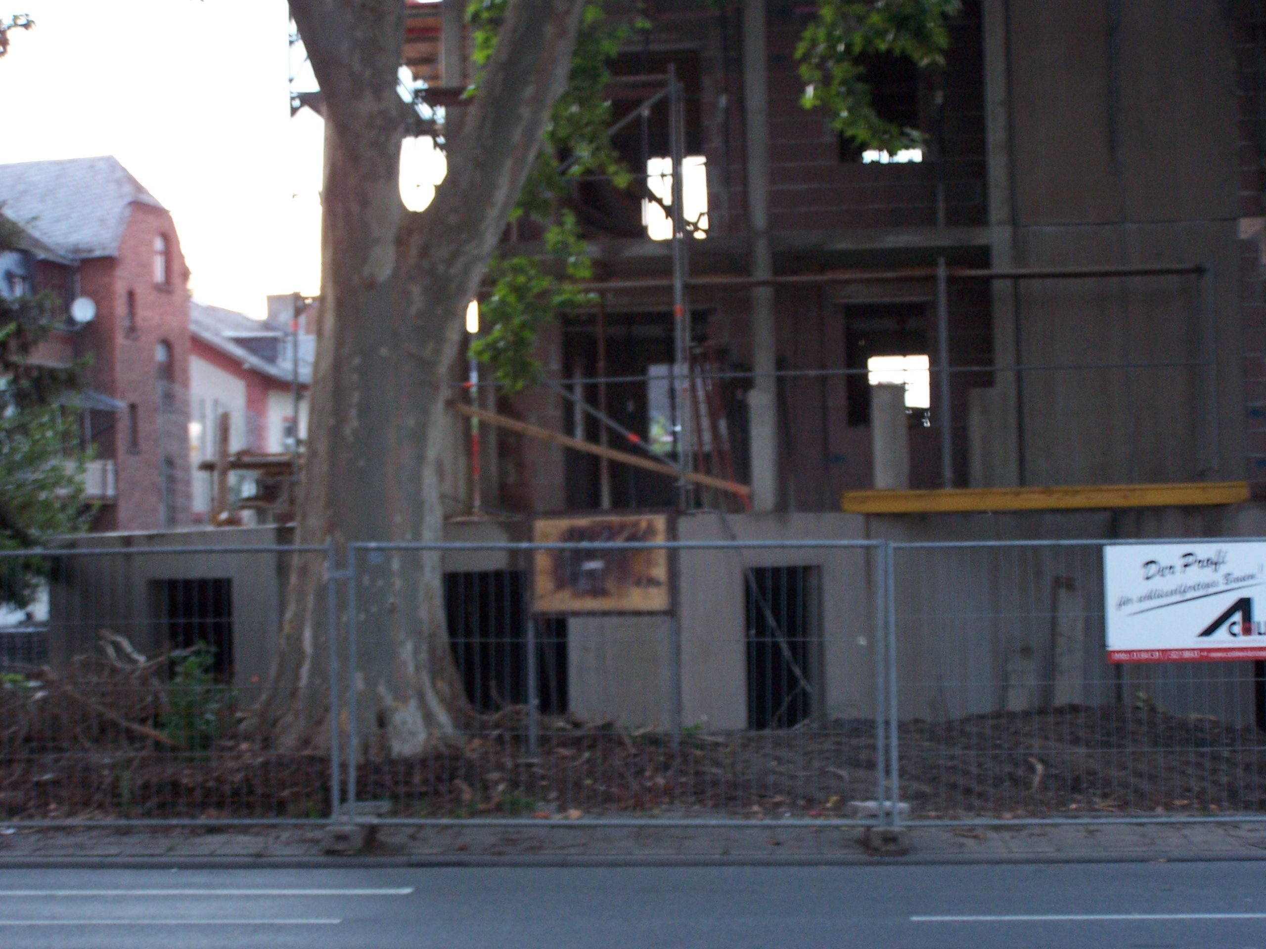 Neubau mit unzureichendem Baumschutz. Leitungsbau Wurzelbereich, Baubegleitung für Baumschutz, Baumstandort erhalten, Schadensvermeidung Baum, Baumschutz bei Bauarbeiten, Wurzelschutz bei Tiefbau.
