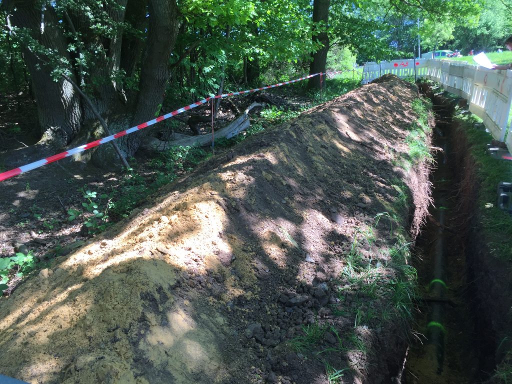 Baumschutz bei Baggerarbeiten