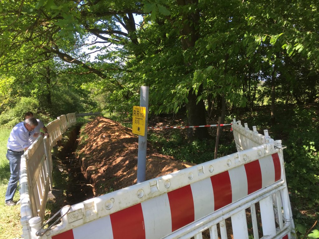 Bäume und Gasleitungen. Wurzelbereich, Baumschutz bei Gasleitungsarbeiten, Wurzelschaden Gutachten