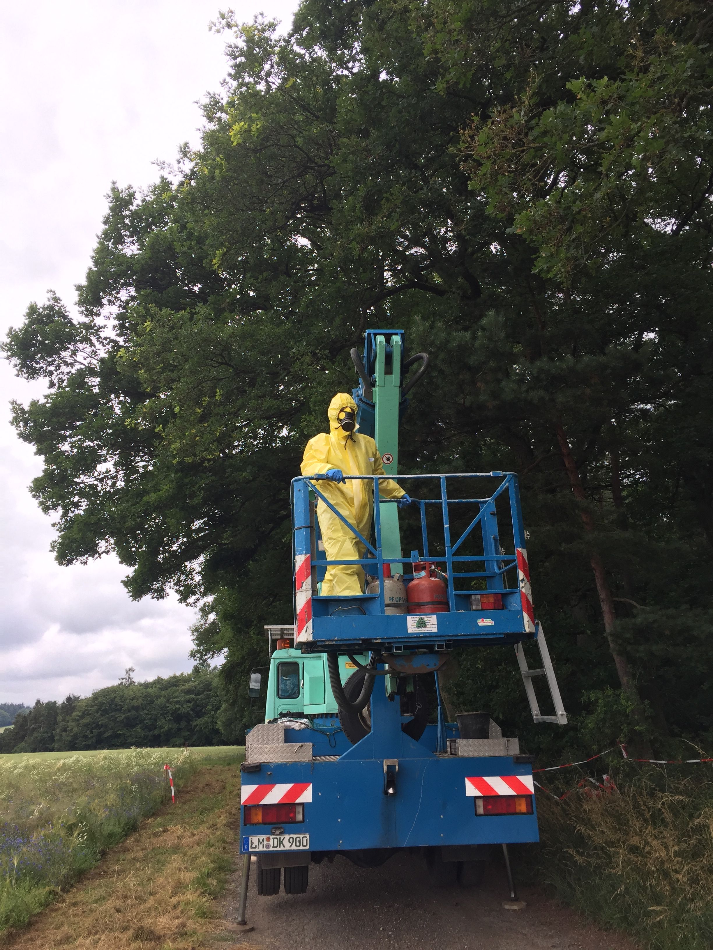 Arbeitsaufnahme bei der fachgerechten Entfernung von EPS-Nestern