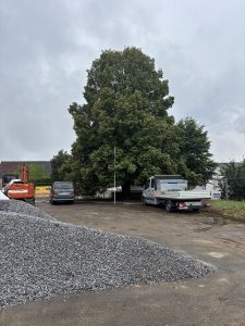 Baumschutz auf der Baustelle. Baumschutzmaßnahmen, Baumschutzzaun, Stammschutz Baustelle, Kronenschutz Bauarbeiten, Bodenauftrag Baum, Bodenabtrag Baum.