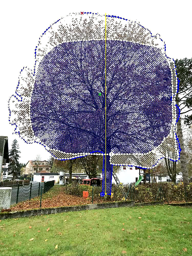 Rückschnittplan für eine Baumkrone zur Verringerung der Windlast. Windlastanalyse Wurzelverankerung prüfen und Stammdehnung messen, Elastometer und Neigungsmessung Baum anbringen.