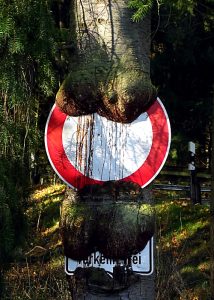 Defektsymptome nach VTA, Grenzen der VTA Methode