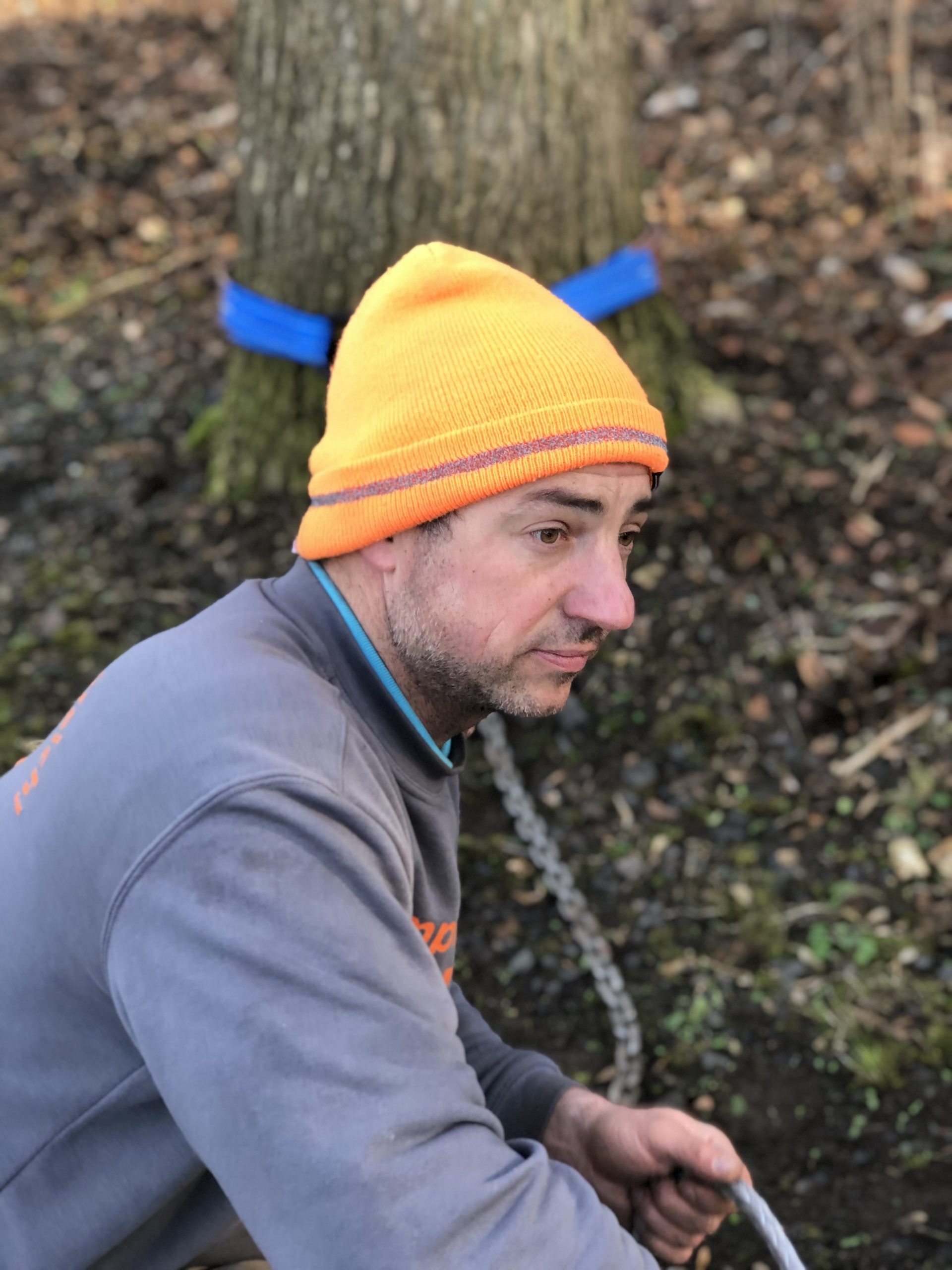 Baumsachverständiger Alexander Kraus, Baumsachverständiger Hessen, Fachagrarwirt Baumpflege, Fachagrarwirt Baumsanierung, European Tree Technician, Sachverständiger Baumpflege.