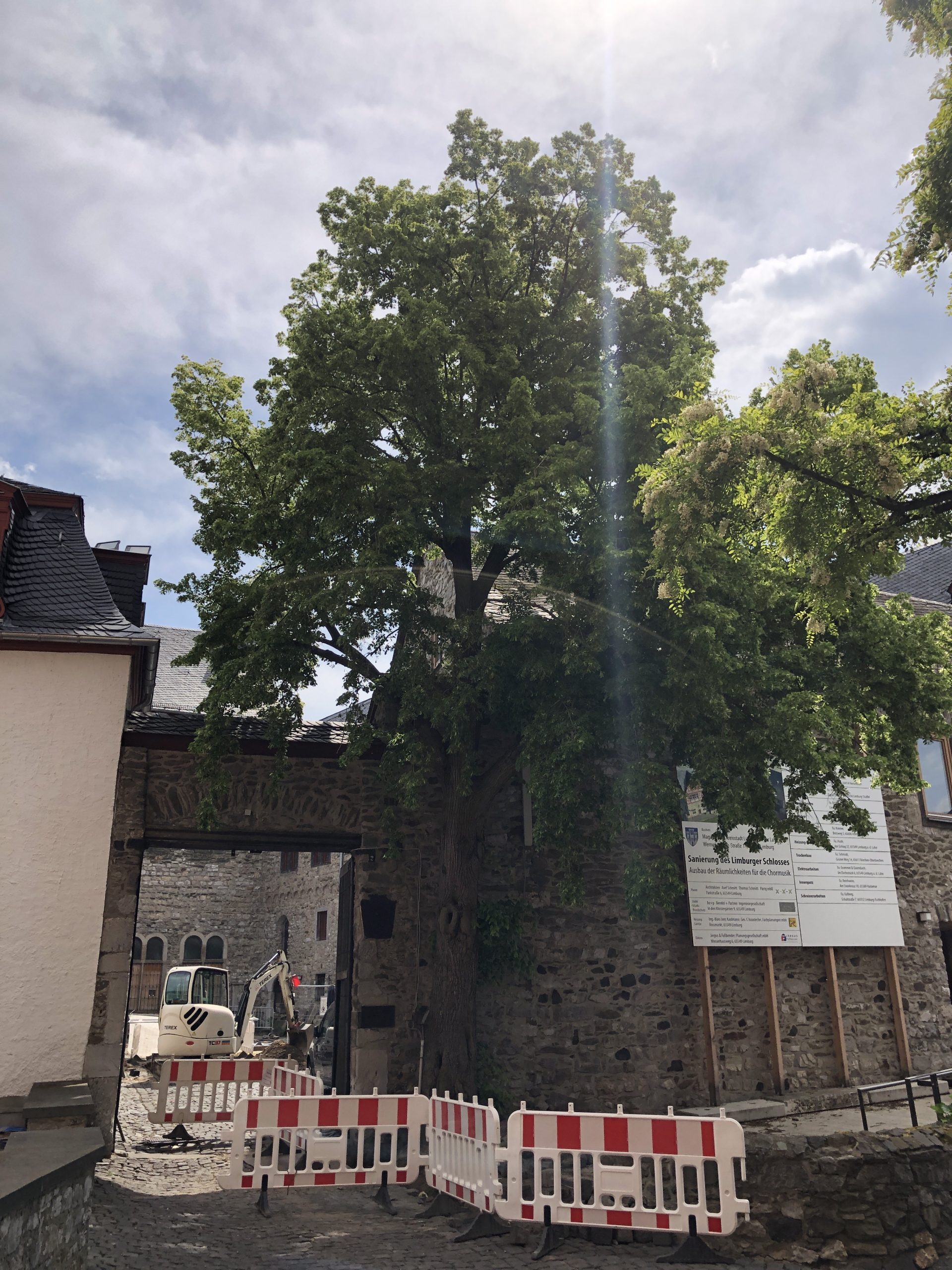 Eigentum und Baumschutz, Eigentümerpflichten Baum, Nachbarrecht Bäume, Rückschnitt Baum, Baumschaden Nachbar, Funktion eines Baumes, Erhaltungsinteresse Baum, Gehölzwert sachverständig ermitteln, vorgerichtliche Beratung, Baumkonflikt, fachliche Stellungnahme Baum, Baumrecht Eigentümer, Baumrecht Nachbargrundstück, Baumschutz bei Nachbarschaftsstreit, Wurzeln vom Nachbarbaum, Überhängende Äste Baumrecht.