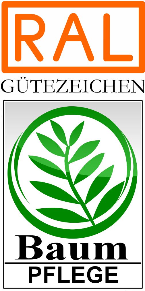 achverständiger für Baumkontrolle, Sachverständiger für Baumgutachten. RAL Gütezeichen Baumpflege.