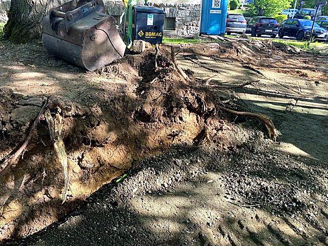 Stamm- und Kronenschutz eines Baumes auf einer Baustelle