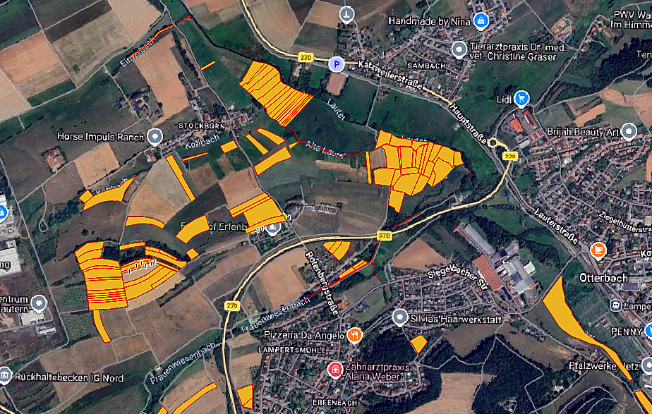 Digitale Kartendarstellung eines Baumbestandes in einem Baumkataster. Baumnummerierung im Baumkataster, Baumkontrollen planen, Maßnahmenfristen bei Baumkontrollen, Verkehrssicherung Dokumentation.