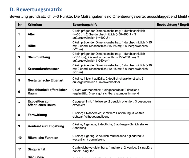 Bewertungsmatrix mit Kriterien, Bewertungsstufen und dem Merkmal Einzelstellung