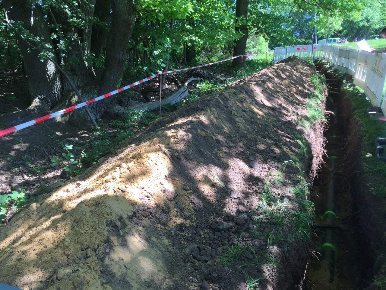 Geöffneter Leitungsgraben im Baumbestand zur Untersuchung eines möglichen Konflikts zwischen Baumwurzeln und einer Gasleitung und als Fallbeispiel Gasleitungen.